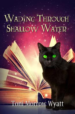 Wading Through Shallow Water by Toni Morrow Wyatt