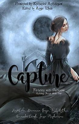 Capture: A Paranormal Romance Anthology by Zizi Cole, Breanna Hayse, K. L. Roth, Amanda Leigh, Jessi McPherson, Angie Wade