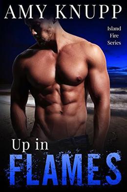 Up in Flames by Amy Knupp