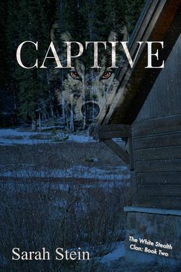 Captive by Sarah Stein