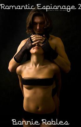 Romantic Espionage 2 by Bonnie Robles