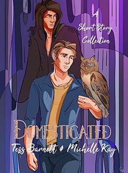 Domesticated: A Short Story Collection by Tess Barnett, Michelle Kay