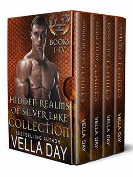 Hidden Realms of Silver Lake Box Set (books #1-4)