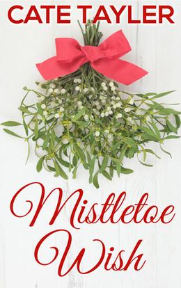 Mistletoe Wish by Cate Tayler