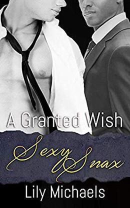 A Granted Wish by Lily Michaels