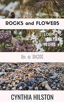 Rocks and Flowers in a Box by Cynthia Hilston