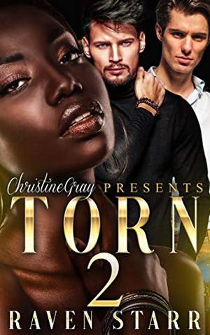 Torn 2: The Revenge by Raven Starr