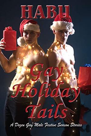 Gay Holiday Tails: A Dozen Gay Male Seasonal Stories by Habu