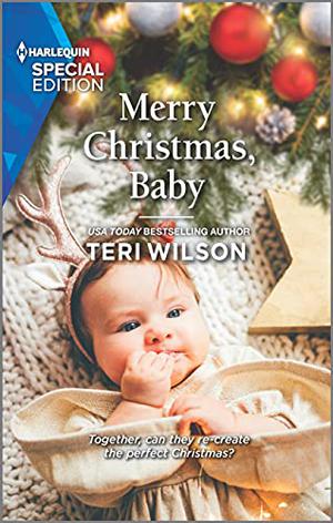 Merry Christmas, Baby by Teri Wilson
