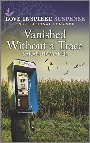 Vanished Without a Trace by Sarah Hamaker