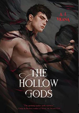 The Hollow Gods by A J Vrana