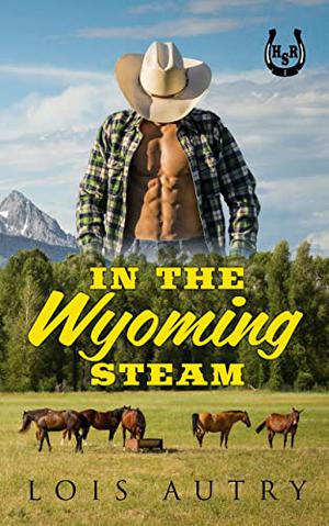 In the Wyoming Steam: A Brother's Best Friend Romance (Hot Spring Ranch #1)