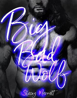 Big Bad Wolf: Book 1.5 Twisted Boys of NY by Stacey Marriott