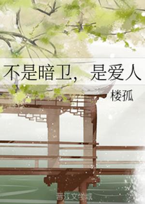 He's Not My Shadow Guard, He’s My Lover [不是暗卫，是爱人] by 楼孤, Luo Gu