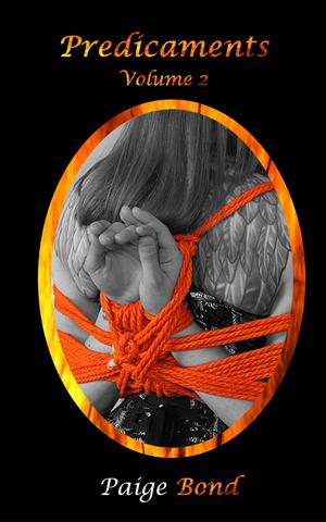 Predicaments 2 by Paige Bond