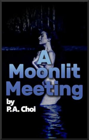 A Moonlit Meeting by P.A. Choi