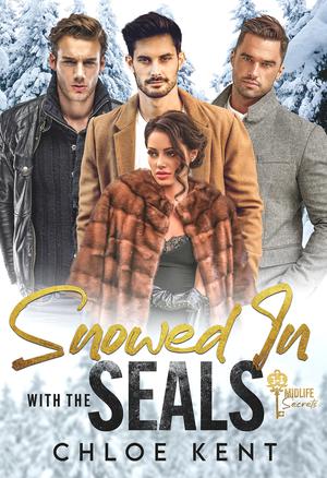 Snowed in with the SEALs (Snowed in with Them #1)