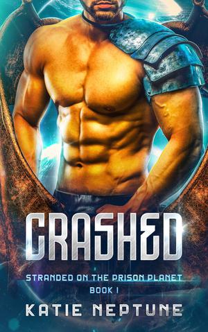 Crashed by Katie Neptune