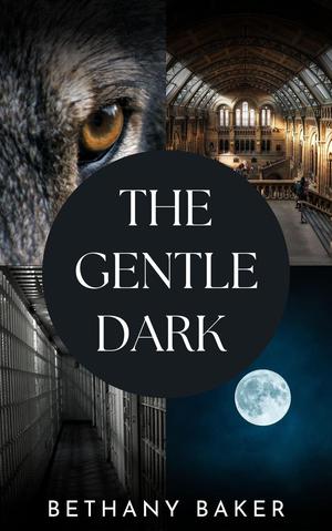 The Gentle Dark by Bethany Baker