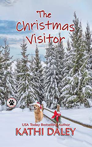 The Christmas Visitor: A Cozy Mystery (A Tess and Tilly Cozy Mystery #15)