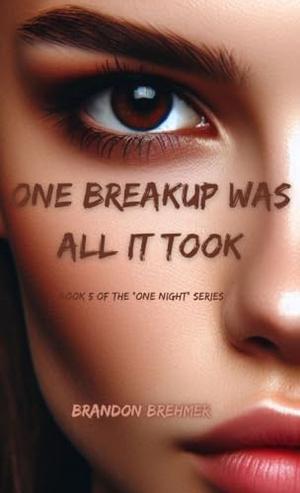 One Breakup Was All It Took: Book 5 of the "One Night" Series by Brandon Brehmer