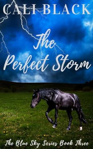 the Perfect Storm by Cali Black