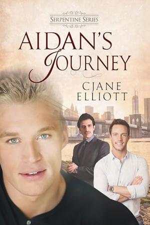 Aidan's Journey by CJane Elliott