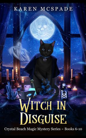 Witch in Disguise by Karen McSpade