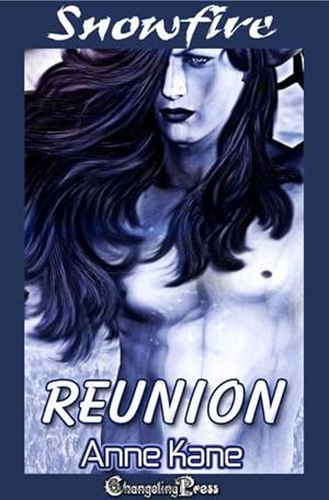 Reunion : A BDSM Women’s Fiction Hot Flash by Anne Kane