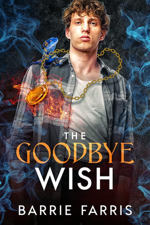The Goodbye Wish by Barrie Farris