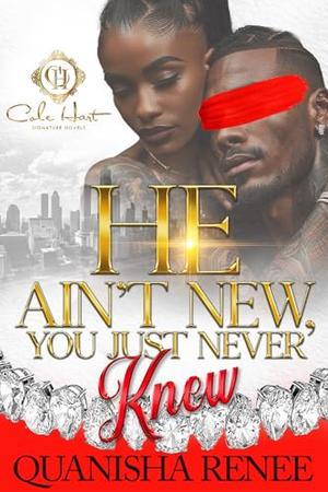 He Ain't New, You Just Never Knew: An African American Romance by Quanisha Renee