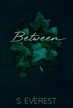 Between by S. Everest