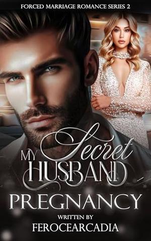 My Secret Husband: Pregnancy by ferocearcadia