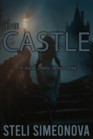 The Castle: A dark erotic short story (Chasing In The Dark by Steli Simeonova