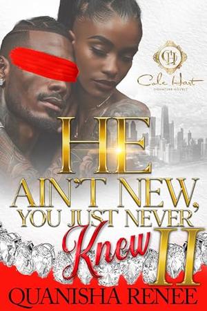 He Ain't New, You Just Never Knew 2: An African American Romance: The Finale by Quanisha Renee