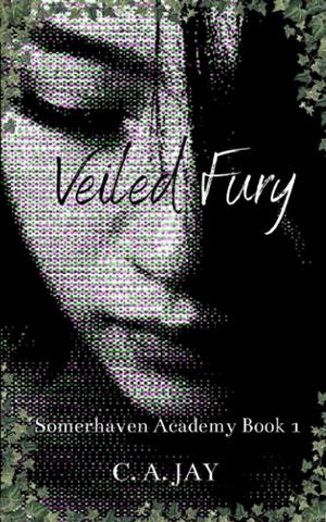 Veiled Fury by C.A. Jay