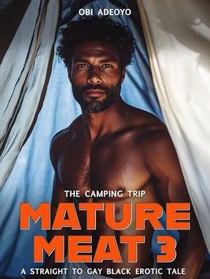 Mature Meat 3: A Straight To Gay Black Erotic Tale by Obi Adeoyo