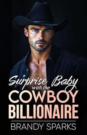 Surprise Baby with the Cowboy Billionaire: An Enemies-to-Lovers Romance by Brandy Sparks