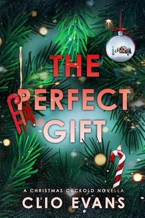The Perfect Gift by Clio Evans