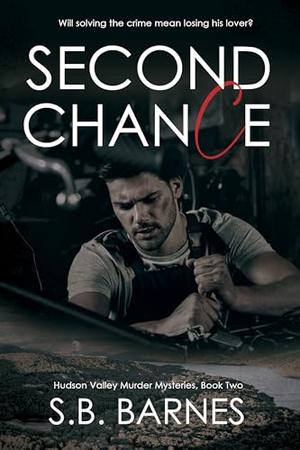 Second Chance (A Hudson Valley Murder Mystery) (Hudson Valley Murder Mysteries #2)