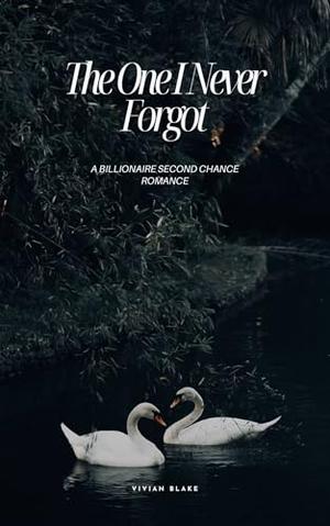 The One I Never Forgot : A Billionaire Second Chance Romance by Vivian Blake