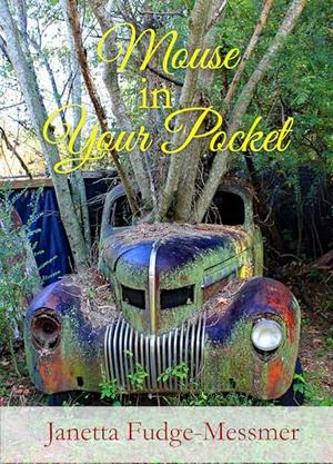 Mouse in Your Pocket by Janetta Fudge-Messmer