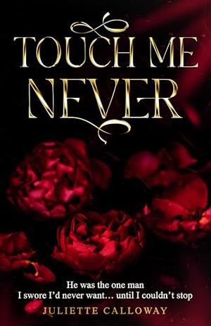 Touch Me Never: He was the one man I swore I’d never want… until I couldn’t stop. by Juliette Calloway