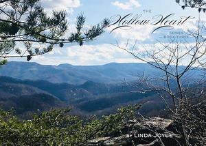 Lines Through the Valley: The Hollow Heart Series Book Three by Linda Joyce