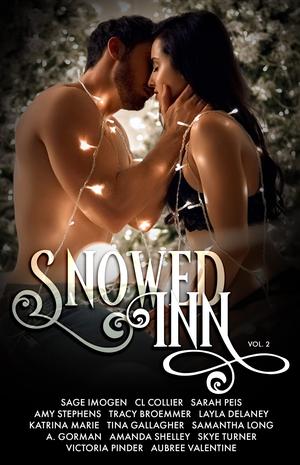 Snowed Inn: Volume 2 by Aubree Valentine, Sage Imogen, C.L. Collier, Sarah Peis, Amy Stephens, Tracy Broemmer, Layla Delaney, Katrina Marie, Tina Gallagher, Samantha Long, A. Gorman, Amanda Shelley, Skye Turner, Victoria Pinder