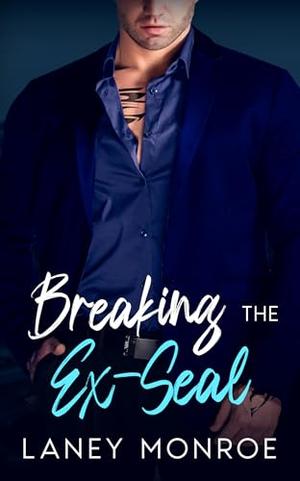 Breaking the Grumpy Ex-Seal: Age Gap, Forced Proximity Romance by Laney Monroe