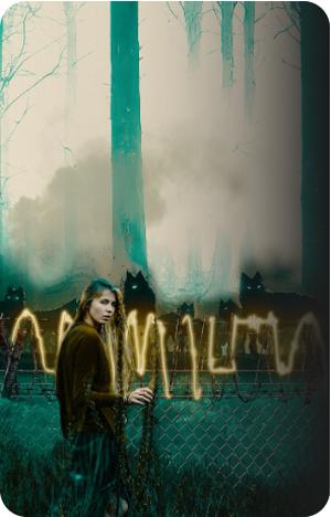 The Wolf Wars Saga by Michelle Torlot