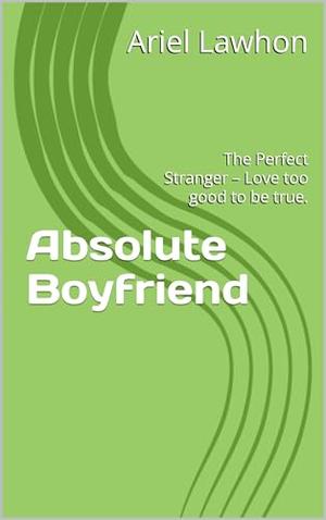 Absolute Boyfriend: The Perfect Stranger – Love too good to be true. by Ariel Lawhon, Babatunde Monsurat