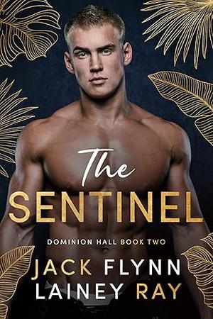 The Sentinel: A Dark Billionaire Military Romance (Dominion Hall #2)