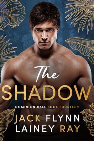 The Shadow: A Dark Billionaire Military Romance (Dominion Hall #14)